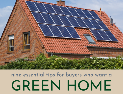 9 Essential Tips for Buyers Who Want a Green Home