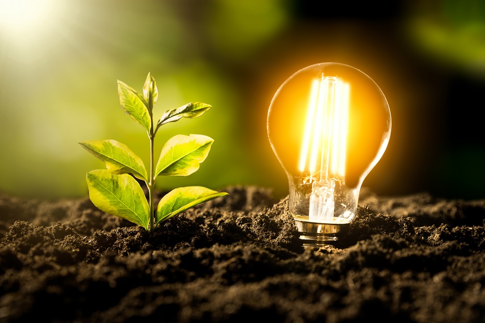 19 Green Living Tips - Low-Energy Lightbulbs