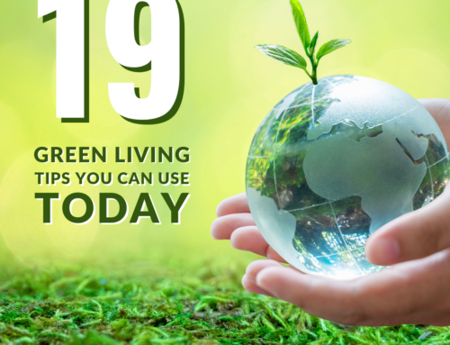 19 Green Living Tips You Can Use Today