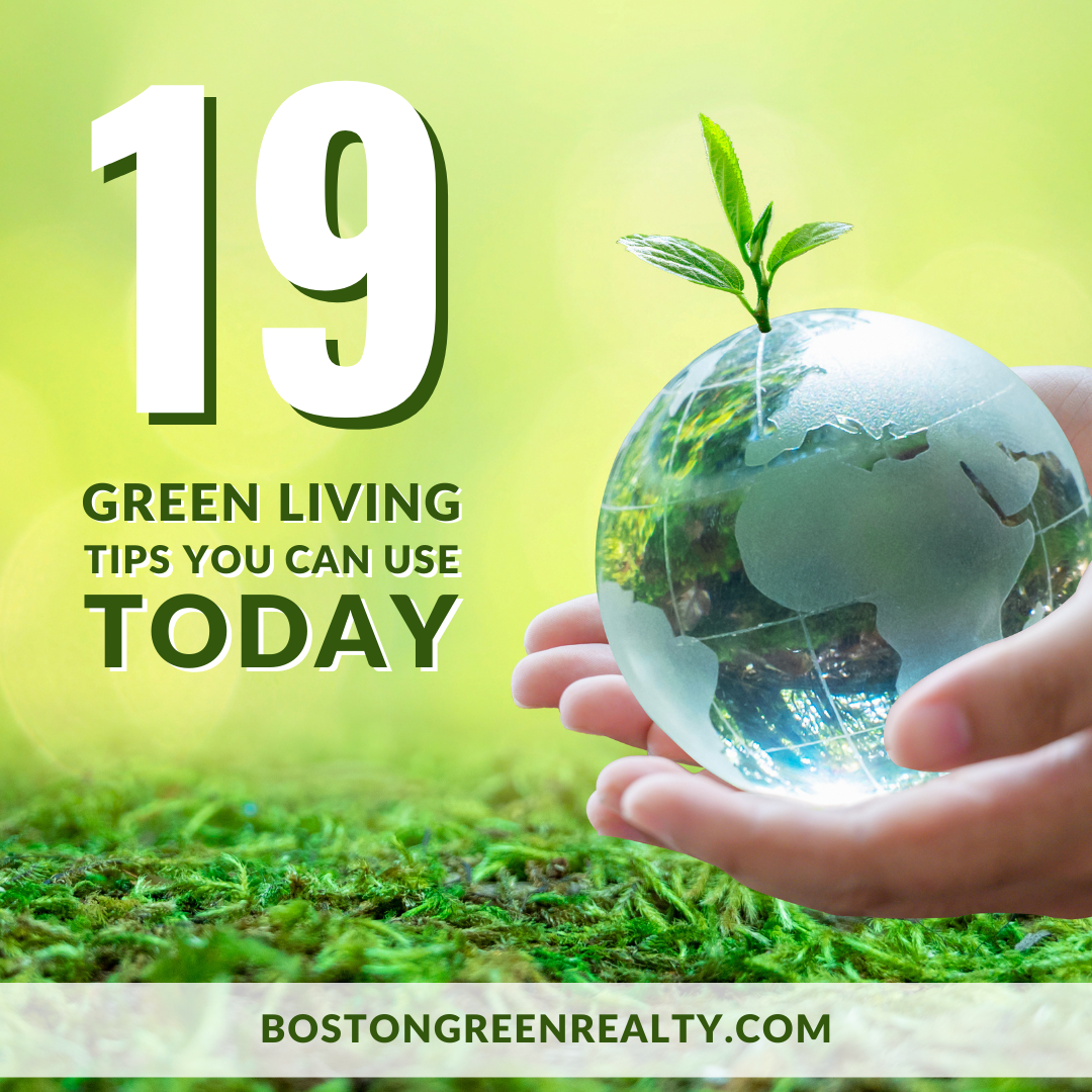 19 Green Living Tips You Can Use Today - Boston Green Realty
