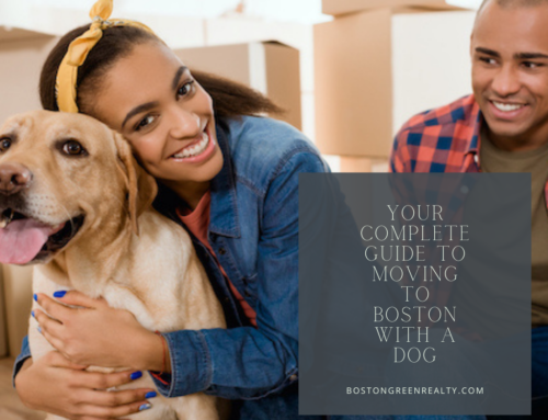 Your Complete Guide to Moving to Boston With a Dog